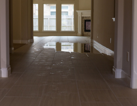 Read more about the article The Importance of Property Inspections for Landlords