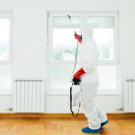 Getting Rid of Common Pests in Las Vegas Rentals