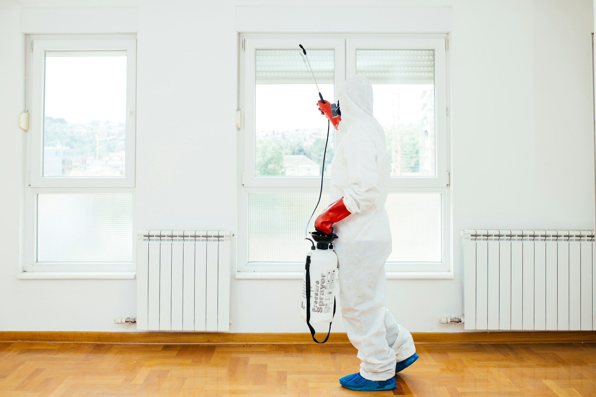 You are currently viewing Getting Rid of Common Pests in Las Vegas Rentals